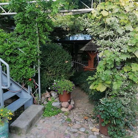 Pension Am Buhnenkopf Tangermünde Extérieur photo